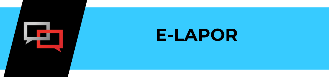 E-LAPOR